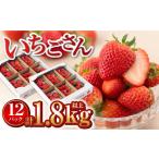 いちごさん1.8kg いちご IAA039