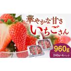 いちごさん 240g×4パック