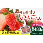 いちごさん 240g×2パック