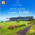 宿泊補助券 45,000円分