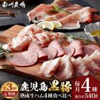 かごしま黒豚熟成生ハム4種食べ比べ セット 約540g