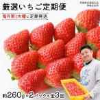 厳選 いちご 2パック