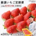 厳選 いちご 4パック