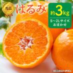 秀品 はるみ 和歌山 有田 S~2Lサイズ 大きさお任せ