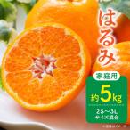 訳あり はるみ 和歌山 有田 2S~3Lサイズ混合