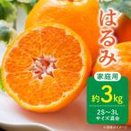 訳あり はるみ 和歌山 有田 2S~3Lサイズ混合