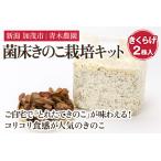 fu.... налог . пол .. . культивирование комплект иудино ухо 2 АО ввод {6 месяц сверху . из последовательный отправка } культивирование комплект собственный культивирование Niigata префектура .. город 