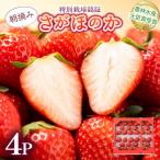 最高級品質”さがほのか” 約1kg