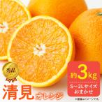 秀品 きよみ 清見オレンジ 和歌山 有田 S~2Lサイズ