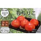 ももりこトマト 約 2kg
