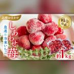 冷凍いちご 品種おまかせ 1kg