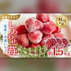冷凍いちご 品種おまかせ 1.5kg