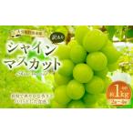 ふるさと納税 【2025年度分先行予約】【数量限定】規格外 訳あり シャインマスカット 約1kg 2〜4房【2025年9月下旬〜11月上旬発送開始予定】 大分県竹田市