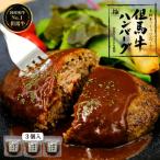 但馬牛ハンバーグ 極 150g×3個