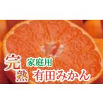 ふるさと納税 みかん 家庭用有田みかん 2.5kg＋250g【ikd173B】 和歌山県すさみ町