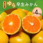 みかん 希少品種 ご ゆら早生みかん 約4kg