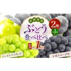 ショッピングふるさと納税 シャインマスカット ふるさと納税 【2026年先行予約】シャインマスカット・ナガノパープル 約1kg (2房)【9月下旬以降発送予定】 長野県塩尻市