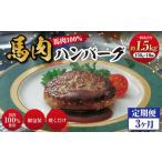 C39Z3 馬肉ハンバーグ 約150g×10個