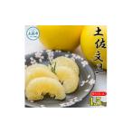 土佐文旦 4.5kg