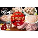 鶏肉 福袋 合計1kg