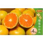 濃厚な味わい ご ゆら早生みかん 約4kg