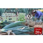 fu.... без налогов название * dono sama лук порей ~ большой . сельское хозяйство .. внизу . рисовое поле .(L 20шт.@)...... лук порей лук-батун король лук порей dono sama лук порей Special производство питание вдоволь бренд сверху ... Gunma префектура внизу . рисовое поле блок 