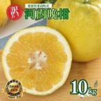 河内晩柑 10kg