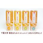 はちみつ 墨田はちみつ 千葉大学 非加熱