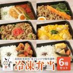 お試し 冷凍弁当 6種セット_惣菜 加工品