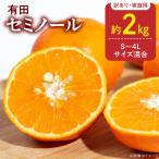 訳あり セミノール 和歌山 有田 S~4Lサイズ混合