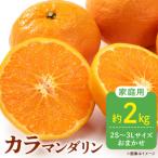訳あり カラマンダリン なつみ 和歌山 有田