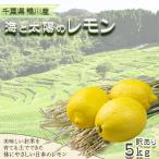 鴨川産 海と太陽のレモン 良品 訳あり品 5kg
