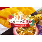 ふるさと納税 【定期便全2回】沖縄 フルーツ 定期便 2回 パッションフルーツ マンゴー フルーツ定期便 果物 アップルマンゴー 沖縄マンゴー 完熟.. 沖縄県糸満市