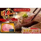 長崎和牛 サーロインステーキ 計500g