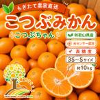 ちっちゃな 有田みかん こつぶみかん10kg