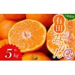 訳あり 有田みかん 約5kg