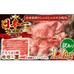 長崎和牛赤身霜降りしゃぶしゃぶすき焼き用