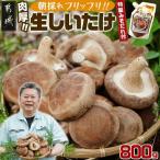 都城産朝採れ肉厚生しいたけ 特製みそだれ付き