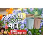 花 苗木 スリット鉢 8号 4色 カラーセット