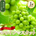 令和8年産 プレミアム シャインマスカット