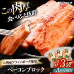 ベーコン ブロック180g×3個セット