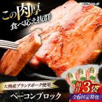 ベーコン ブロック180g×3個セット