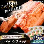 ベーコン ブロック180g×6個セット