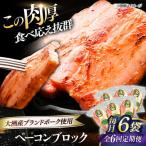 ベーコン ブロック180g×6個セット