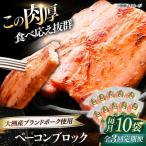 ベーコン ブロック180g×10個セット