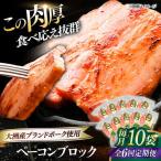 ベーコン ブロック180g×10個セット