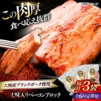 ベーコン ブロック 七味入り 180g×3個セット