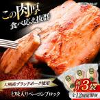 ベーコン ブロック180g×3個セット