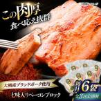 ベーコン ブロック 七味入り 180g×6個セット