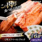 ベーコン ブロック 七味入り 180g×6個セット